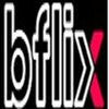 Avatar of bflix.gg