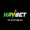 Avatar of haybetlink