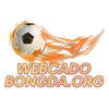 Avatar of webcadobongdafun1