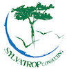 Avatar of Sylvatrop Consulting