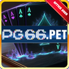 Avatar of pg66pet