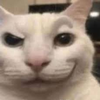 Avatar of ÆÆÆÆÆÆ