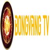 Avatar of tvbongvang