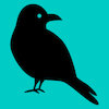 Avatar of Ravensong Design