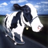 Avatar of MonkeTheDeveloper