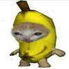 Avatar of deimos_Xdddd