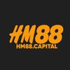 Avatar of hm88capital