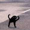 Avatar of PUMPKINPOTATO