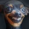 Avatar of BlackNask