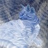 Avatar of ᒪIᗰIᑎᗩᒪ 𝔢𝔯𝔯𝔬𝔯𝔰