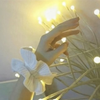 Avatar of fhp502178