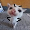 Avatar of Mel