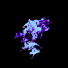 Avatar of TheIron