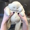 Avatar of hgoood