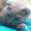 Avatar of Stas_Belyan