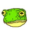 Avatar of toadplup