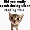 Avatar of Catsarecool24