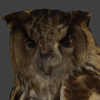 Avatar of Hilla Palojärvi