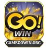 Avatar of GOWIN