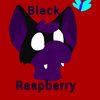 Avatar of blackraspberry