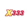Avatar of X333