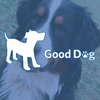 Avatar of Good Dog Rocky Point