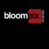Avatar of Bloompix Studios