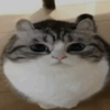 Avatar of realblurred
