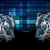 Avatar of darklight4670