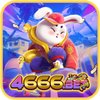Avatar of 4666betorg