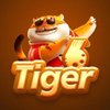 Avatar of 6tiger