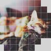 Avatar of Tigre Ametista
