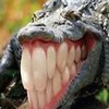 Avatar of Croakareader