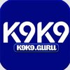 Avatar of k9k9guru