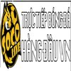 Avatar of socolivesanchoi