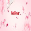 Avatar of Winflower