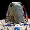 Avatar of Ponzu_Vanille