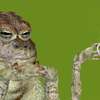 Avatar of cjkiesser1