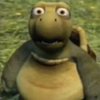 Avatar of krokorokok