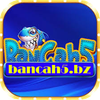 Avatar of Bancah5 bz