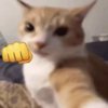 Avatar of Lucian_153