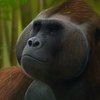 Avatar of keylimepyle20