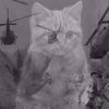 Avatar of W3s_luz