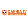 Avatar of cakhia19linkglobalpioneers