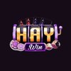 Avatar of haywindecom