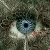 Avatar of evmvgr