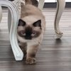 Avatar of annika.coyuco