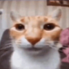Avatar of seltonsouto