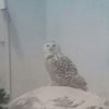 Avatar of CrAzY_hAwK