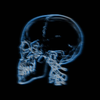 Avatar of xrayvisuals